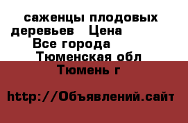 саженцы плодовых деревьев › Цена ­ 6 080 - Все города  »    . Тюменская обл.,Тюмень г.